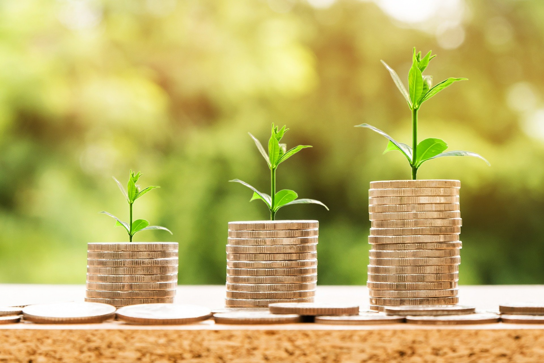 Endowment Funds