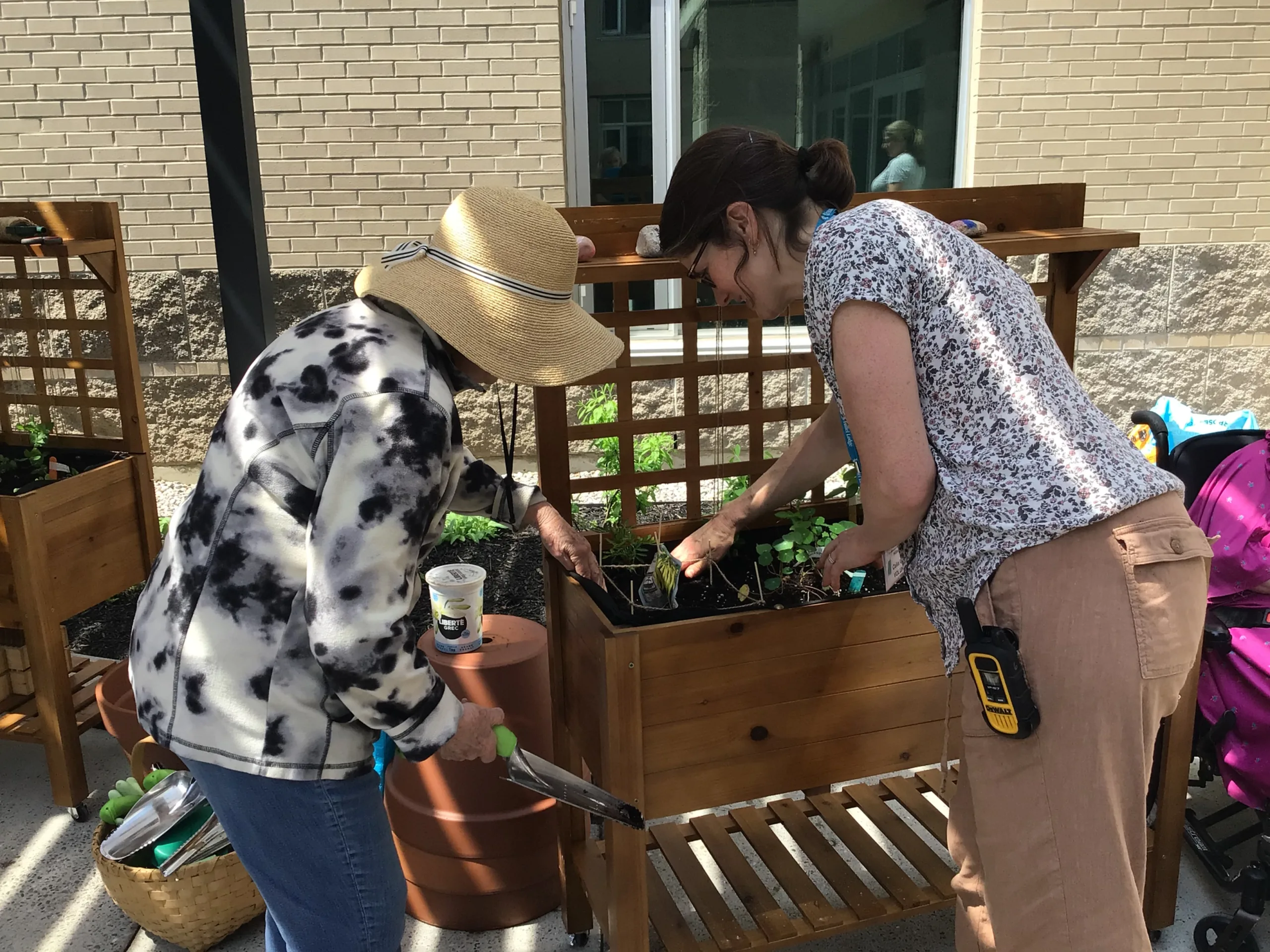 green_thumb_garden_4